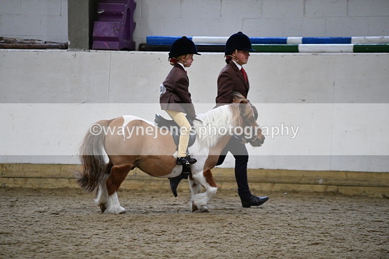 WJ5_6761 - Class 10 Childs Pony