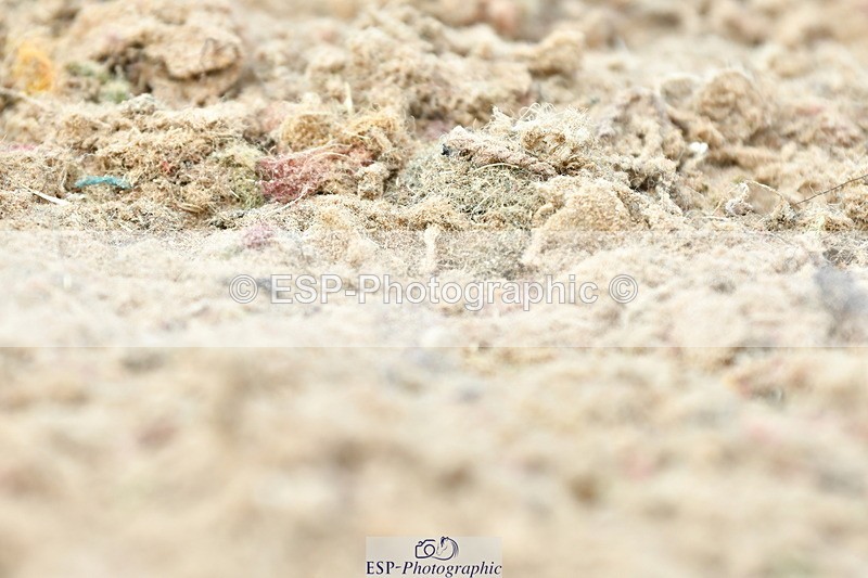 230702A-161228-11135 - Cls 37 + 42 FEI PSG + GP