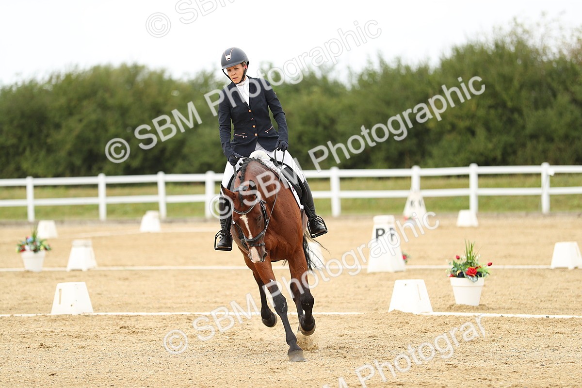 SBM_017675 - Class 13 - Novice 23 - 14.27-15.16