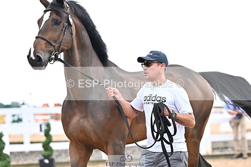 240718A-105328-02056 - Trot Up 2pm to 3pm - This folder is not in time order
