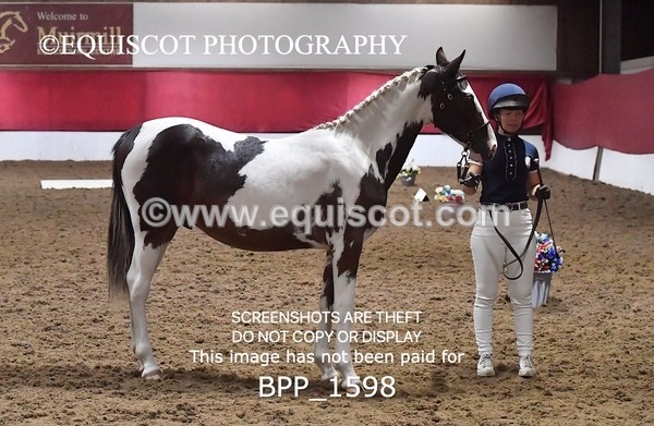 BPP_1598 - MORNING 9AM - 12PM