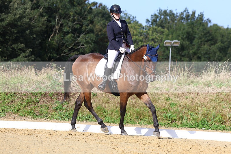 3E7A2535 - Class 1: Intro 4 2024 section A