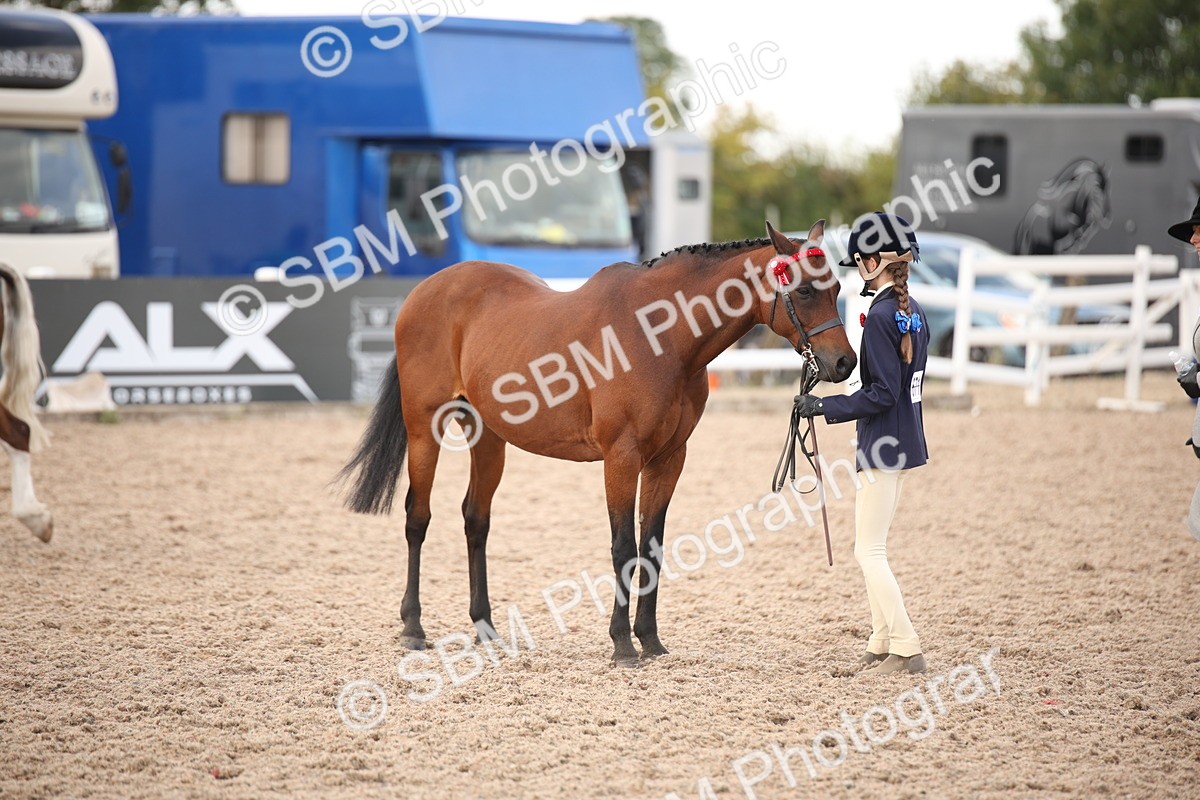 SBM_08233 - Class 27 - IH Competition Horse-Pony