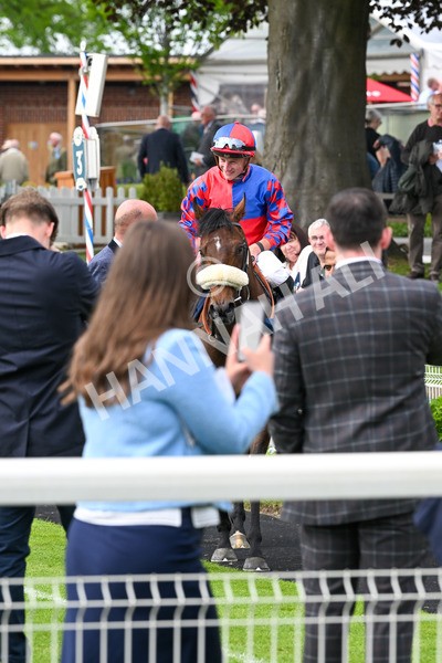 160524-Race 5-Big Evs-6378 - Race 5 4.15pm  British Stallion Studs EBF Westow Stakes