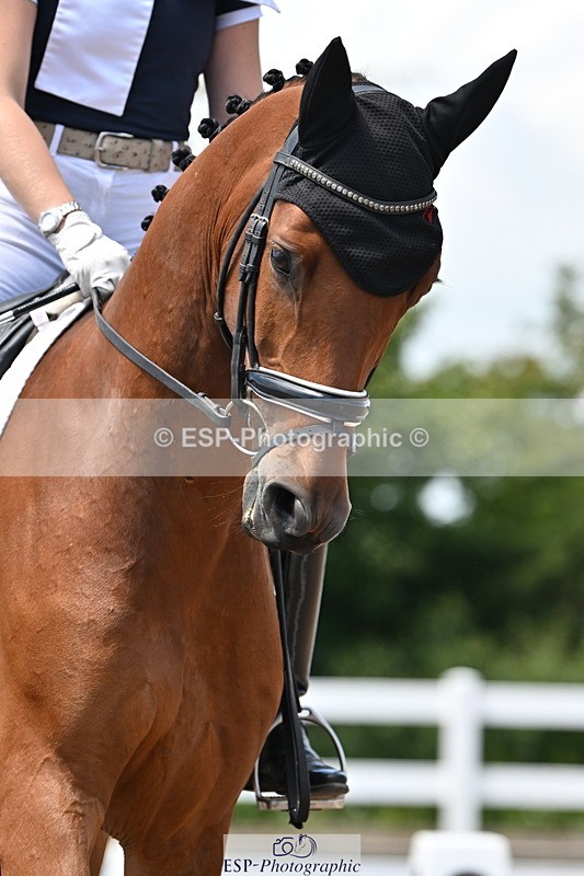 240621A-124025-02198 - Cls 7 BD Elementary 45