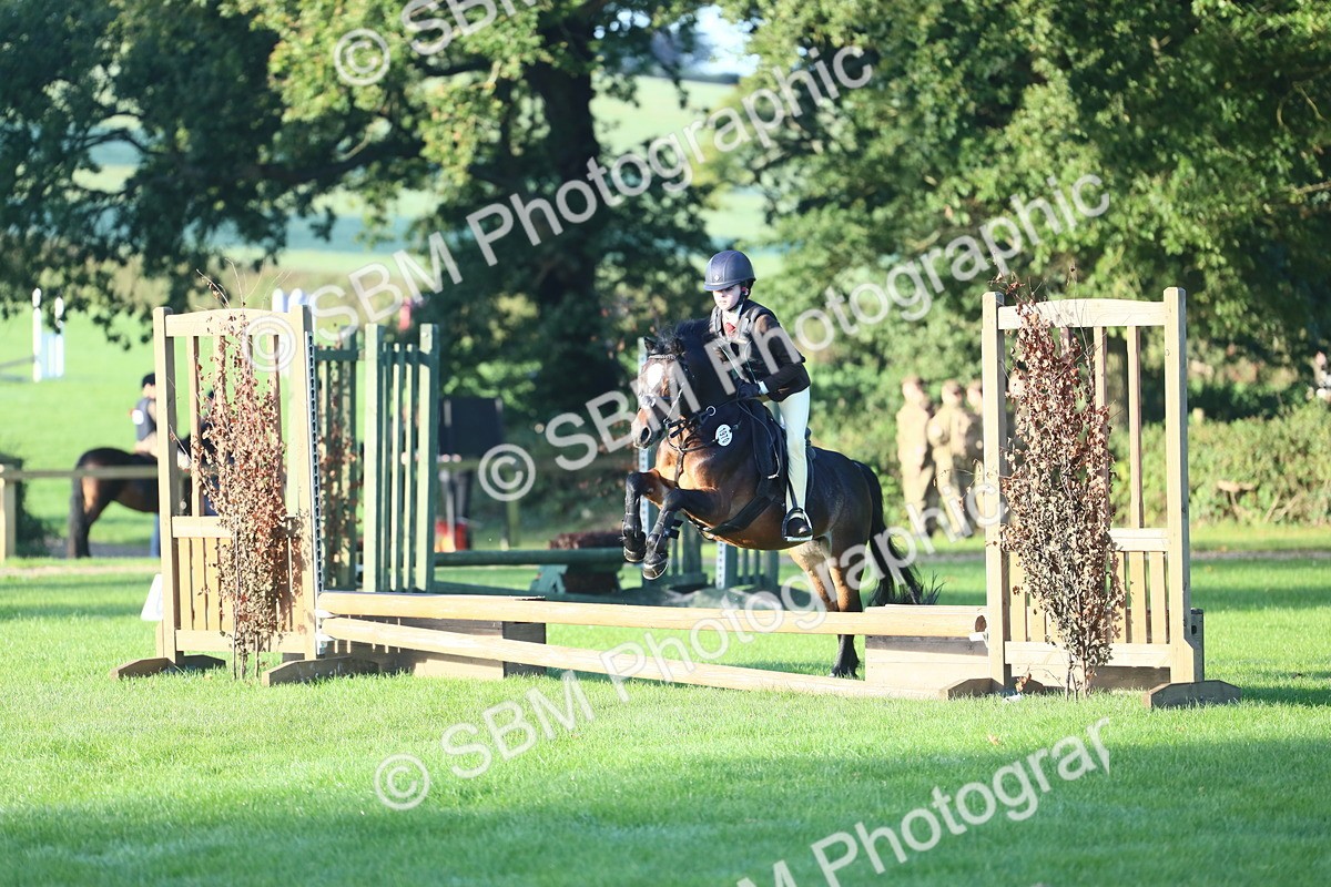 SBM_37285 - S29 - Novice & Newcomers Working Hunter Pony