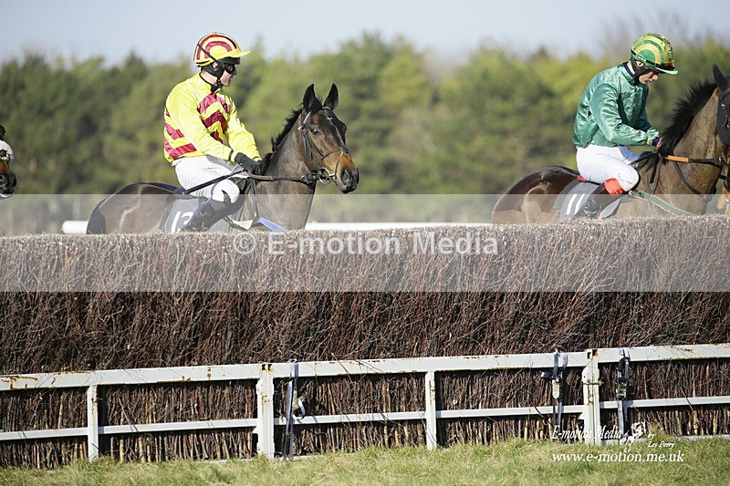 PtP 270222 276 - South & West Wilts Point-to-Point Larkhill 27/02/22