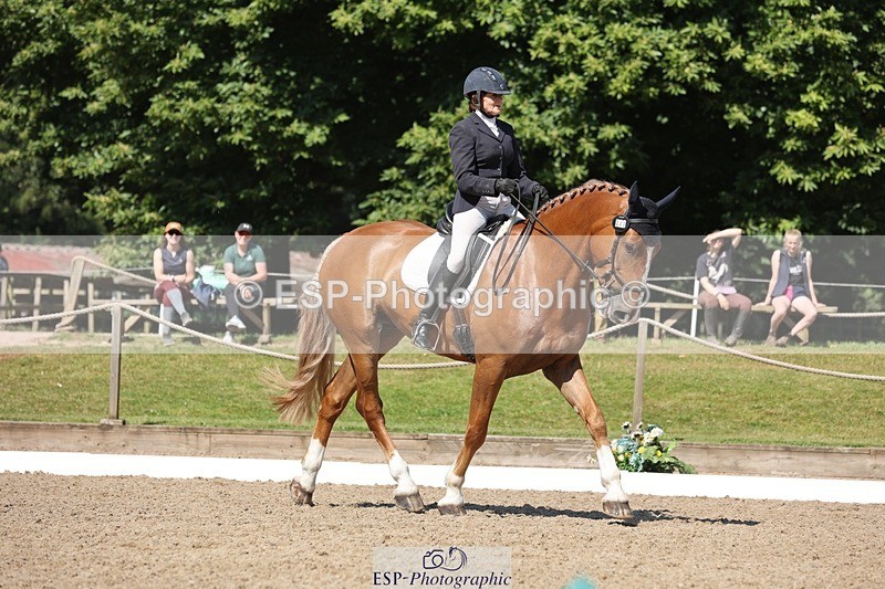 240719-103923-00758 - 223-Deborah_Randall-Sandy's_Bertie