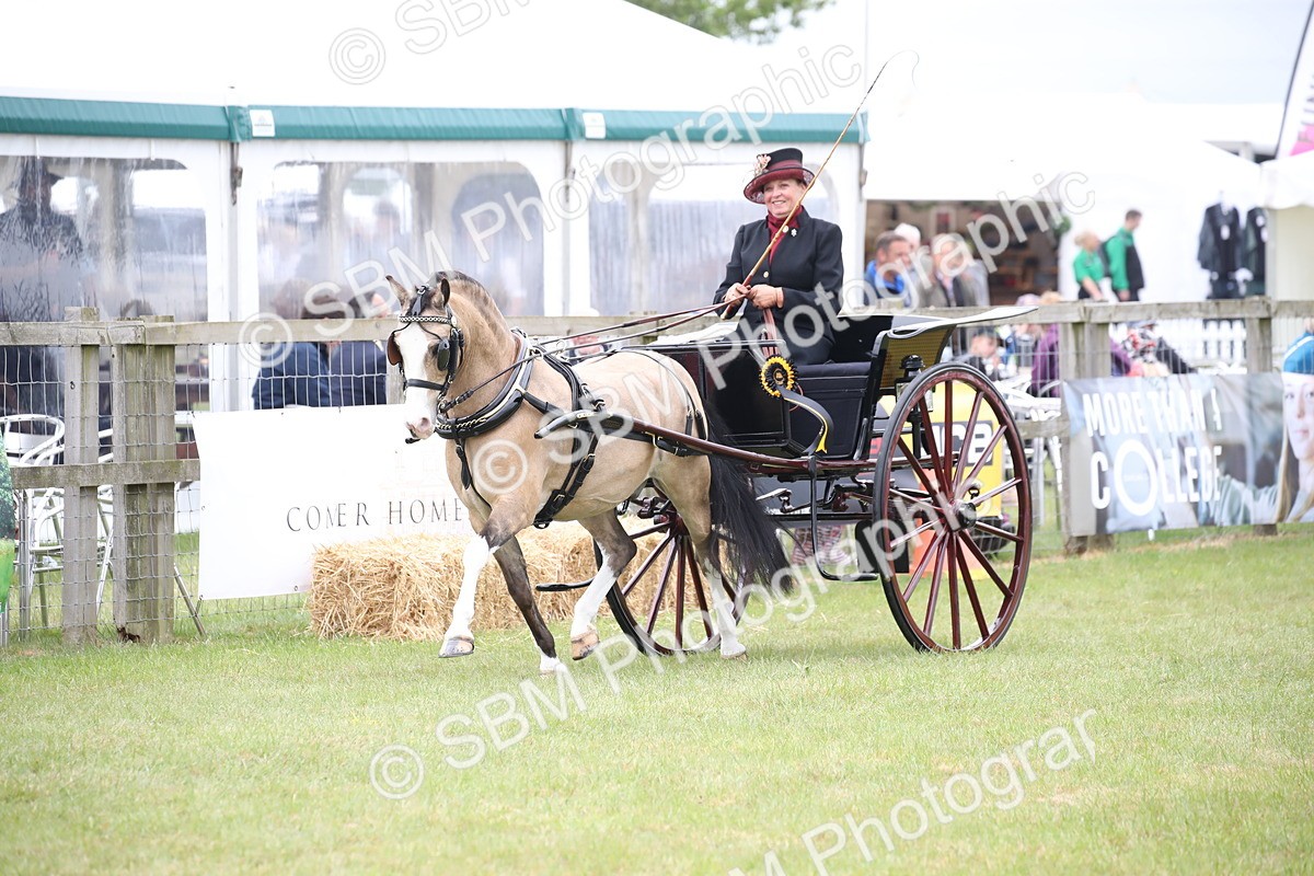 SBM_05946 - Class 12-15 - HOYS Private Driving