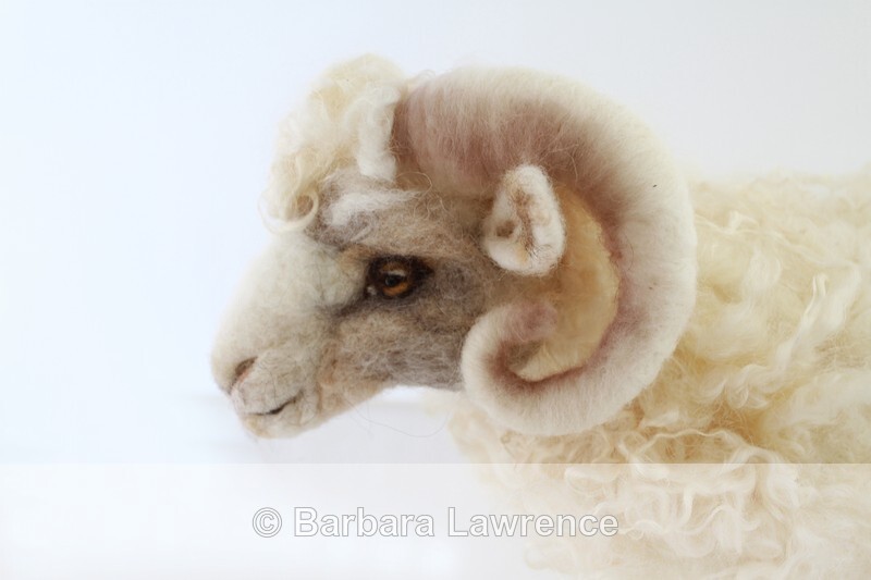 Ram - Gallery