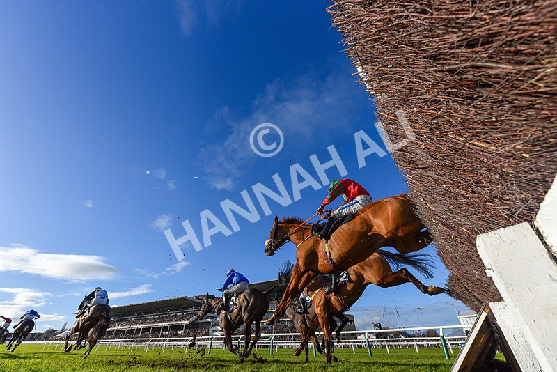 141224-Race 3-Getbazoutofhere-9366 - Race 3