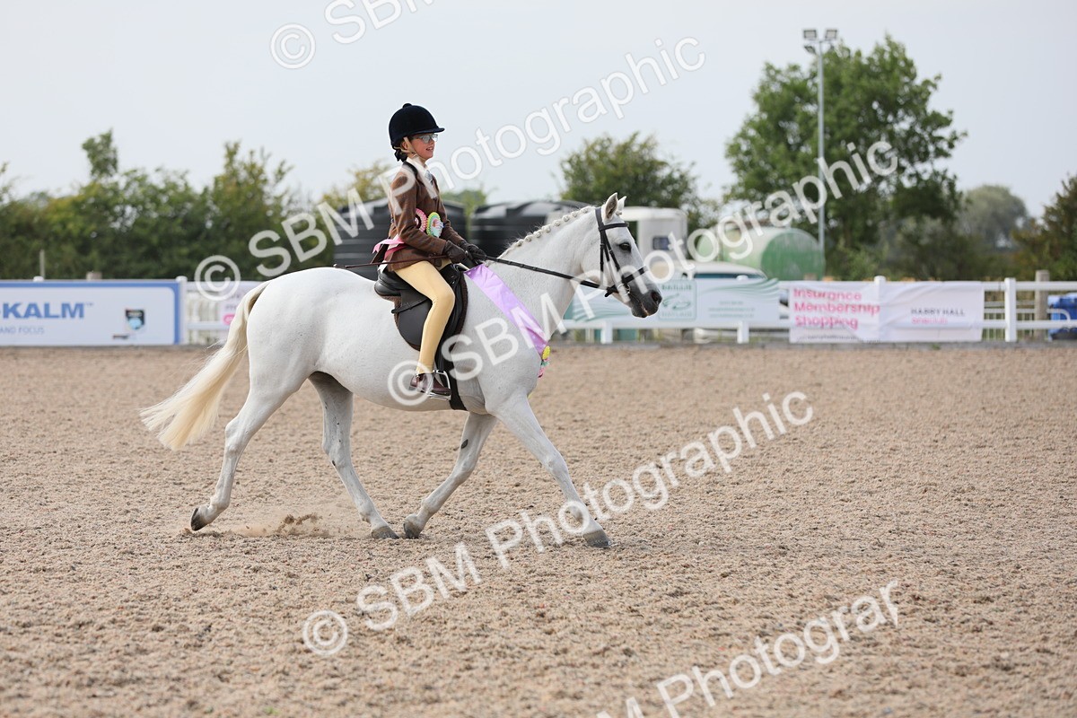 SBM_17074 - Class 314 Family Horse/Pony