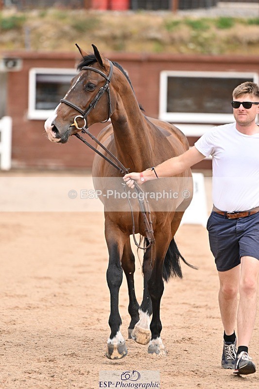 250716-150708-01641 - Trot Up 2.30 to 3.30