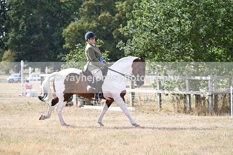 WJ7_7495 - Class 14 Ridden Coloured