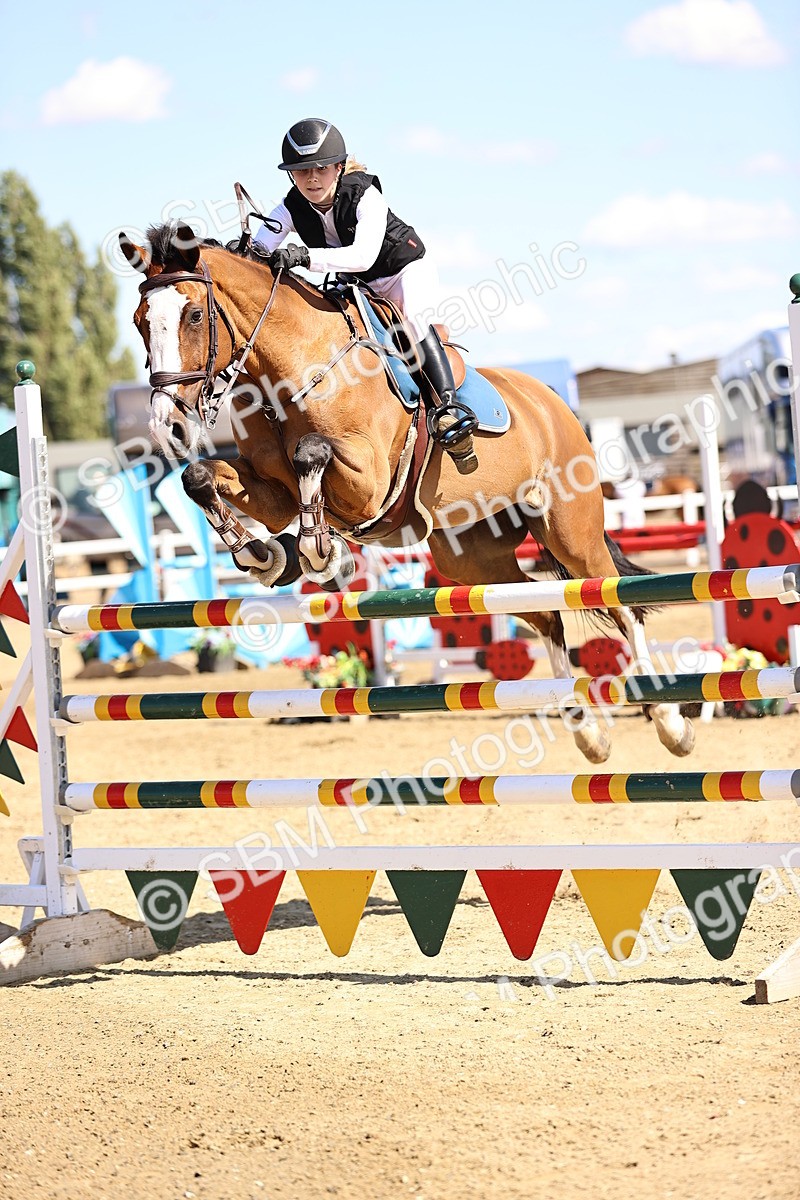 SBM_015240 - Class 16 - Senior foxhunter - 1.20m Open