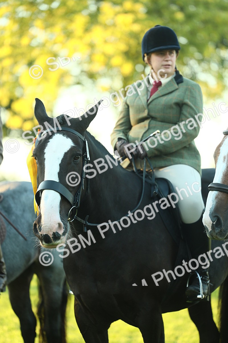 SBM_56587 - S14 - Riding Club Horse