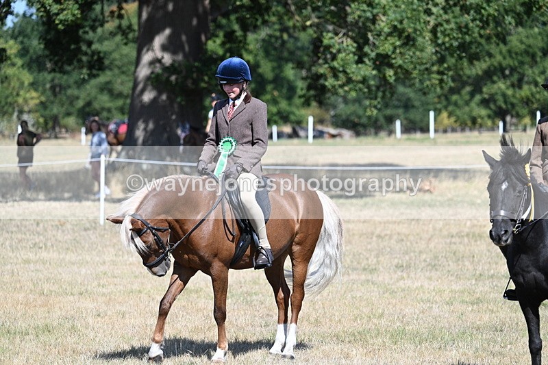 WJ7_4173 - Class 9 Mountain & Moorland Ridden