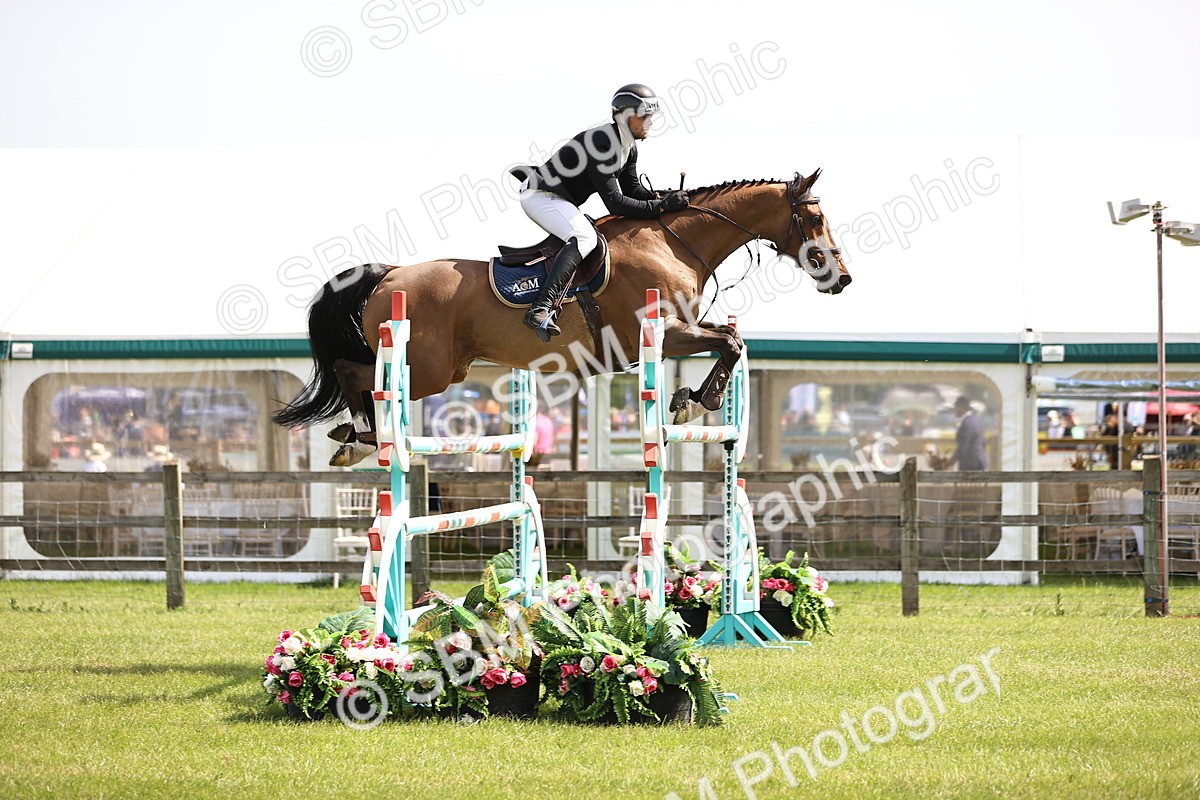 SBM_03167 - Class 201 - British Horse Feedds Speedi Beet HOYS Grade C