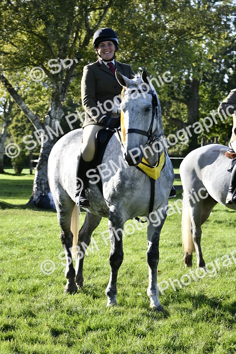 SBM_52256 - S35 - Working Hunter & Working Show Horse
