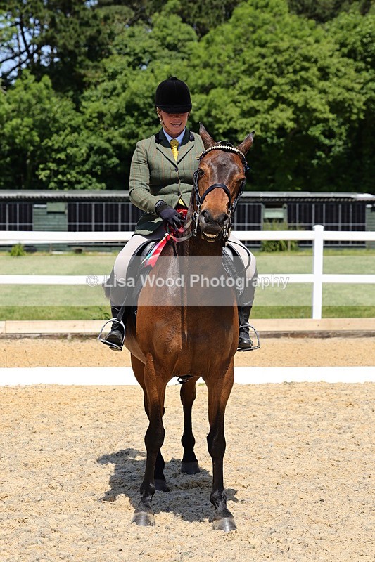 1X9A1920 - Class 12: Ridden Riding Horse/Hack