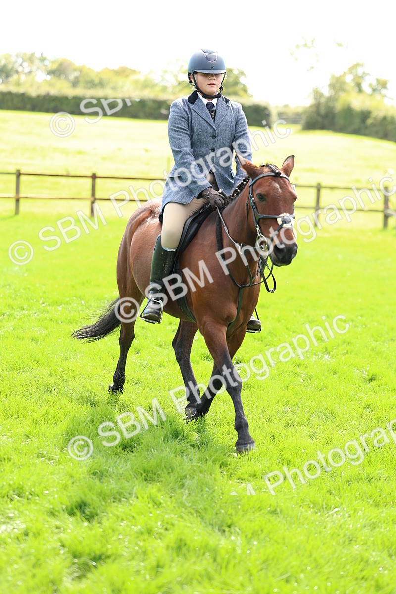 SBM_45414 - S33 - Working Hunter Pony