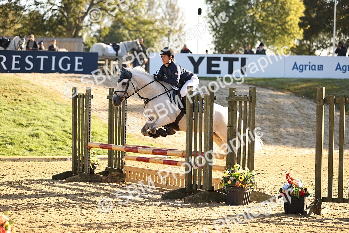 SBM_34640 - J38 - Senior 80cm Championship