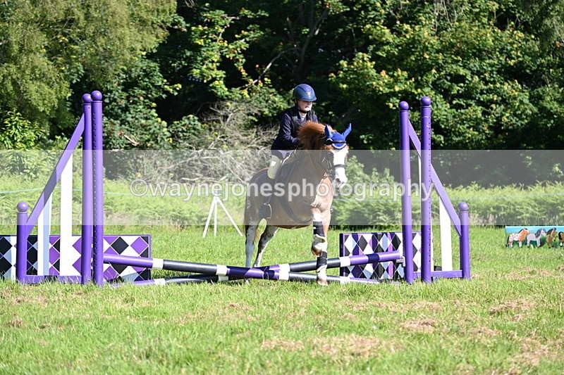 WJ6_3539 - Class 1 Tiny Cross Poles