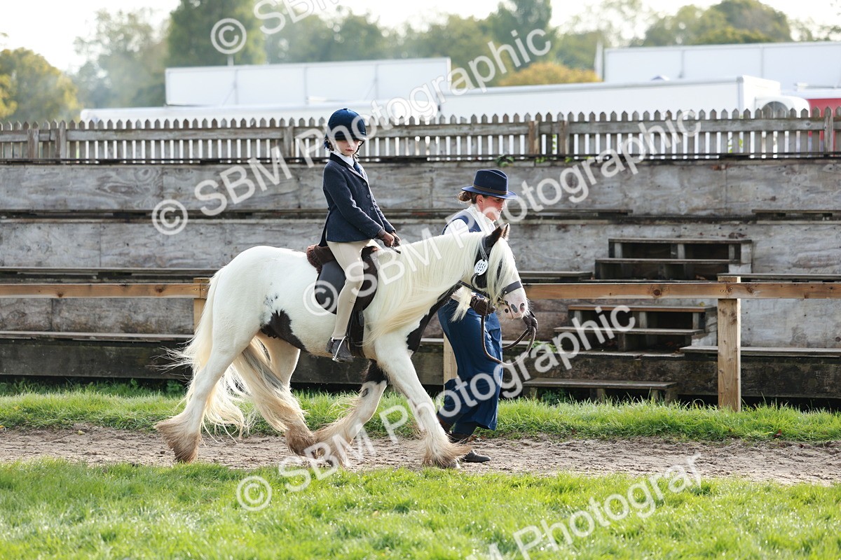 SBM_56296 - S39 - Starters In Hand Showing