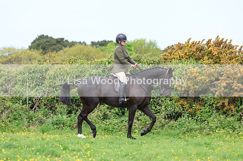 3E7A1315 - Class 7: Ridden Hunter Type