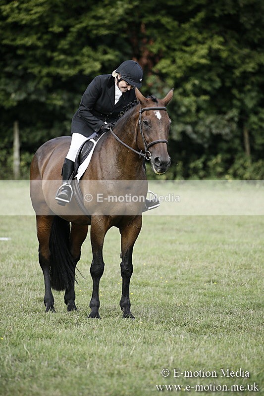 BVR090918 162 - BVRC Dressage and Show Jumping 09/09/18