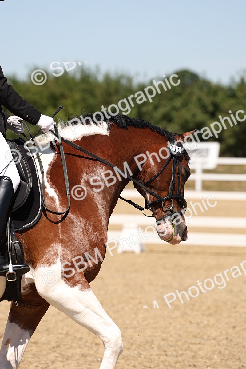 SBM_002277 - Elementary 4 Warm Up