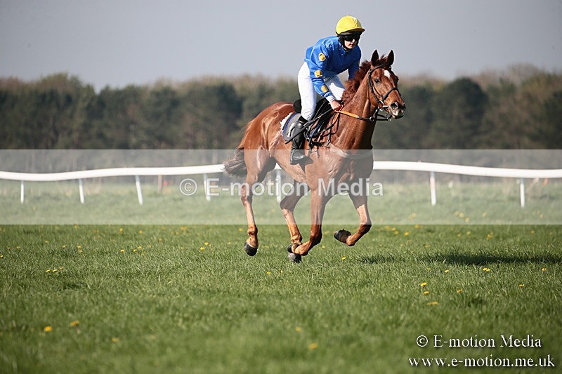PtP 210418 493 - South & West Wilts Point-to-Point Larkhill 21/04/18