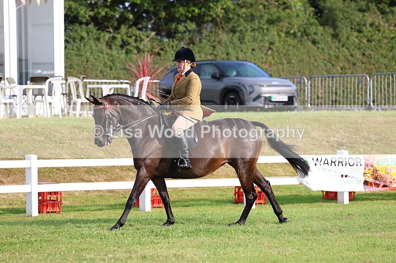 3E7A7728 - Class 1: Rising Star Small Hack/Riding Horses