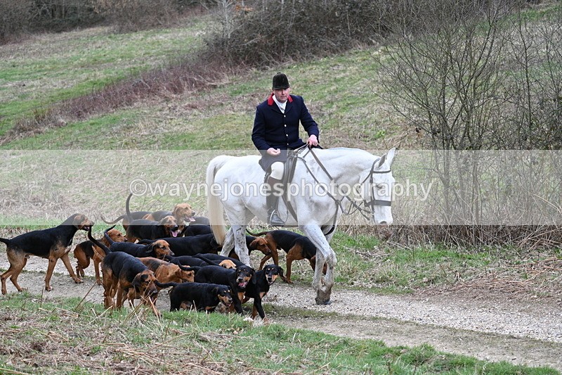 WJ7_7327 - Walk Home