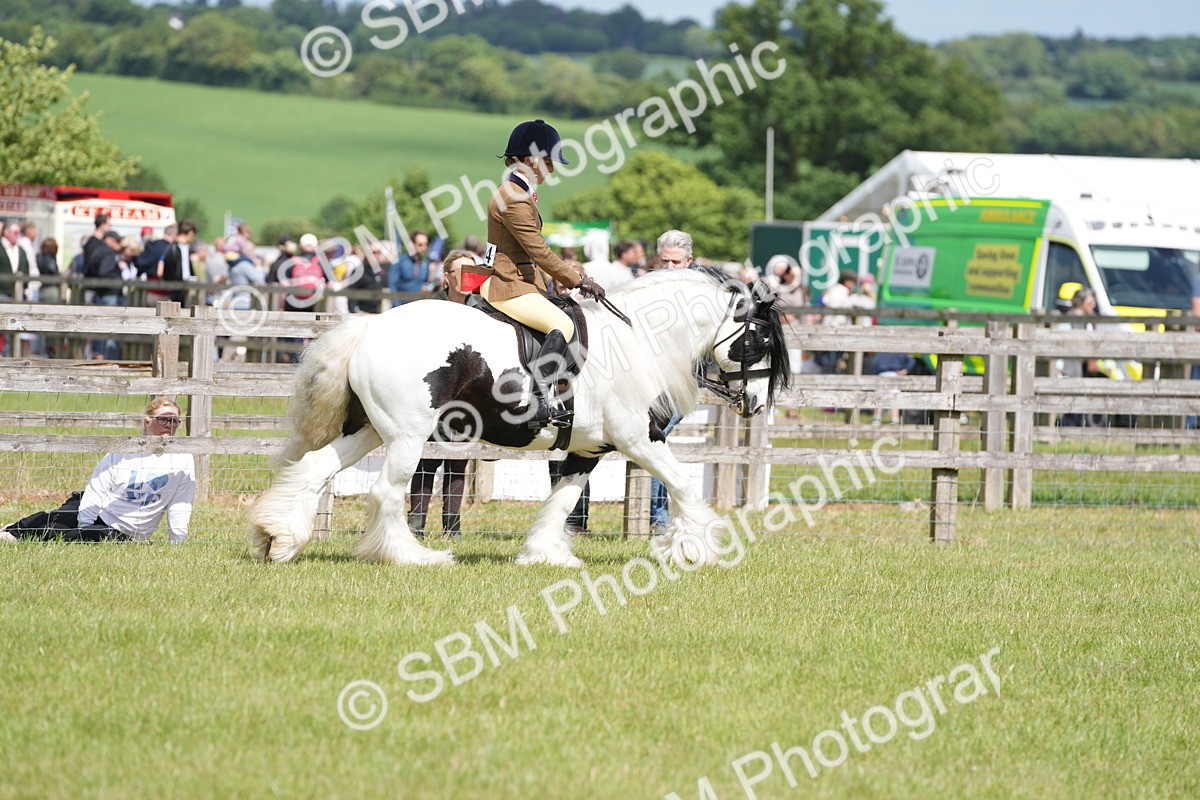 SBM_17247 - Class 107-108 - LIHS BSPS Performance Coloured Horse Pony