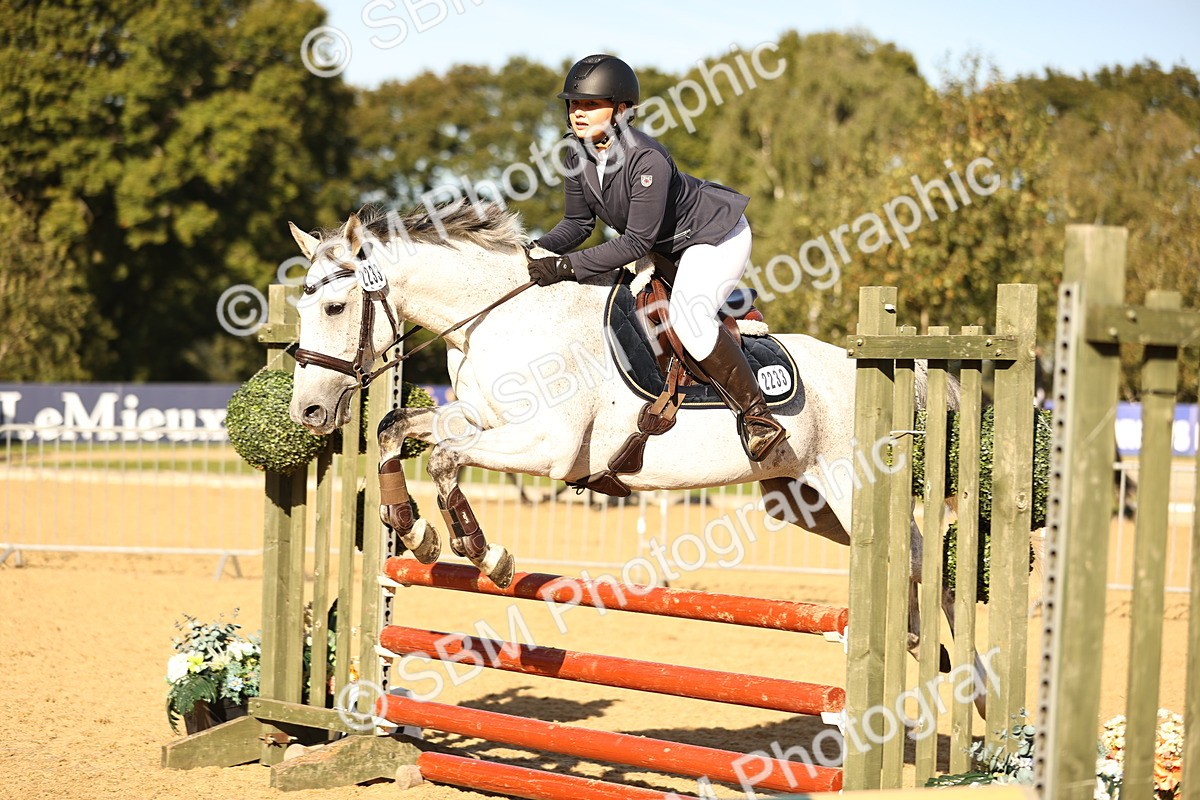 SBM_35113 - J38 - Senior 80cm Championship