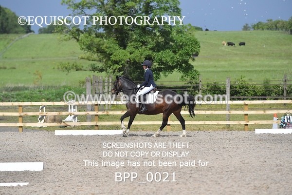 BPP_0021 - SHORT ARENA  MY QUEST PRELIM
