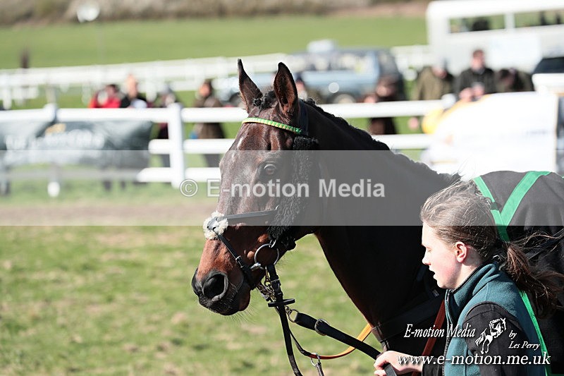PtP 230324 638 - Tedworth Hunt PtP Larkhill Raccourse 23rd March 2024
