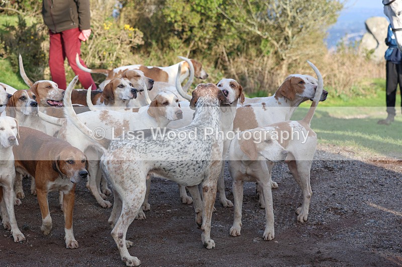 3E7A5294 - FBH Carn Brea 26.12.2025