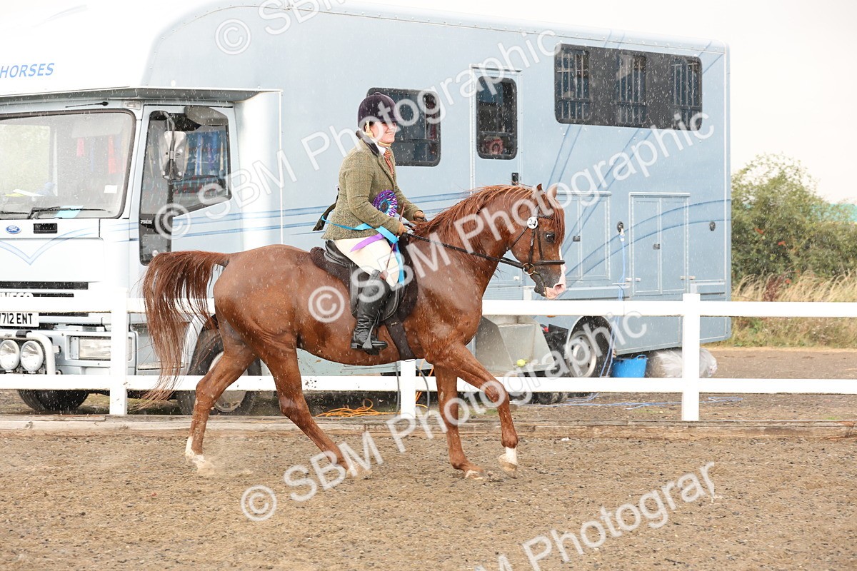 SBM_07606 - Class 59b -  Style & Performance - 80cm (20+)