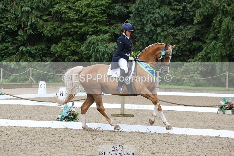 240720-155107-06757 - Cls 9 FEI Inter I BRONZE