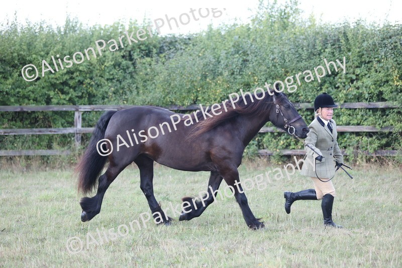 20250831-1654 - Class 22 - Mountain and Moorland Inhand