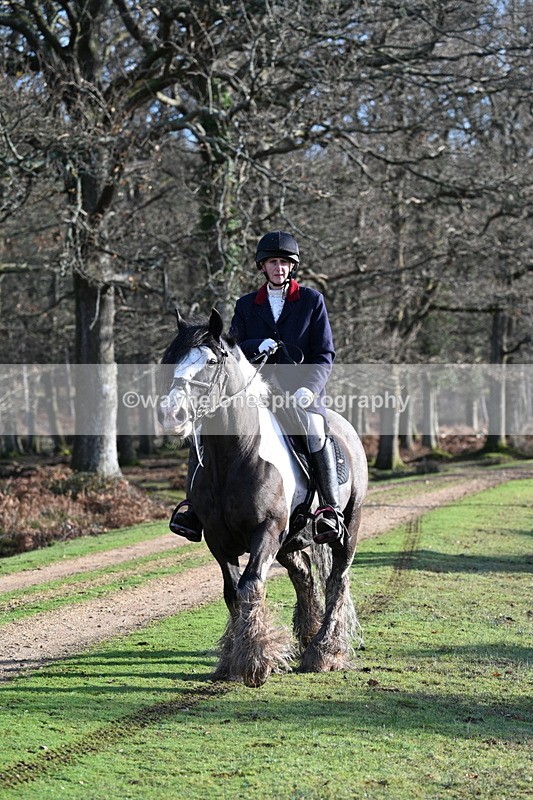 WJ7_7824 - Line 3 (no line 4 or 5)