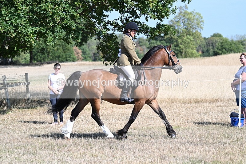 WJ7_3739 - Class 9 Mountain & Moorland Ridden
