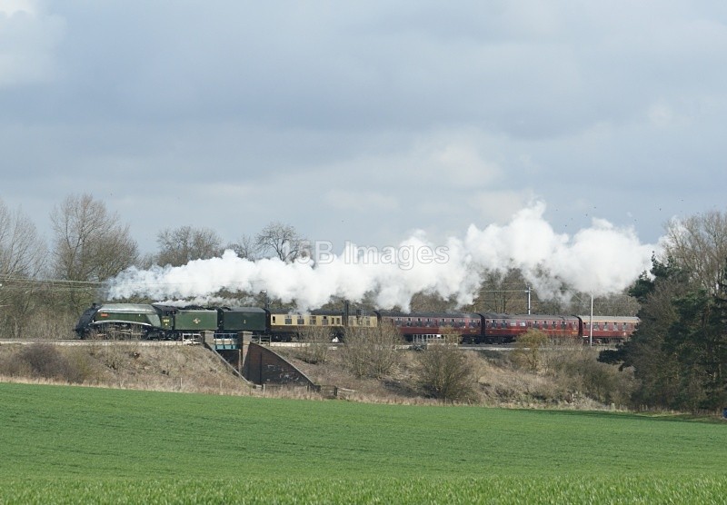 T1066 - Trains