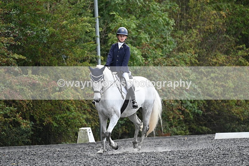 WJ7_6019 - Time 14:10 to 14:45