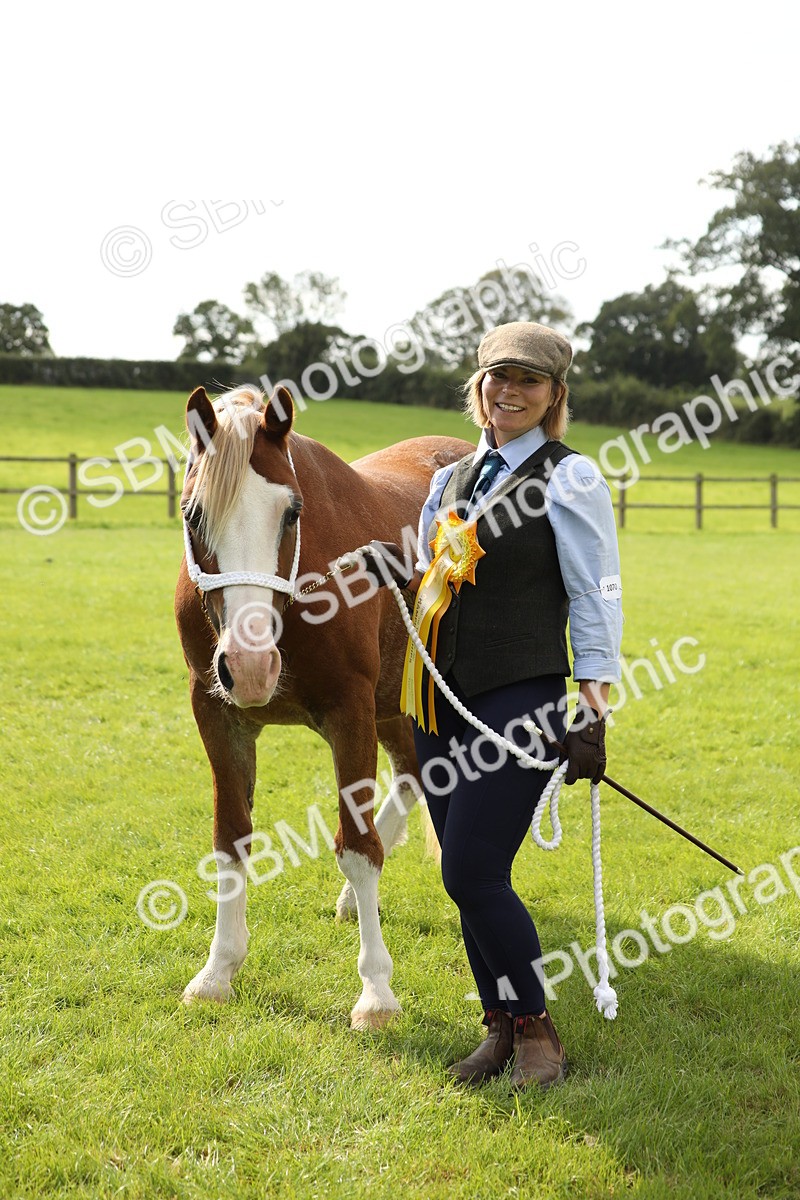 SBM_65556 - S47 - Mountain & Moorland In Hand Large Breeds