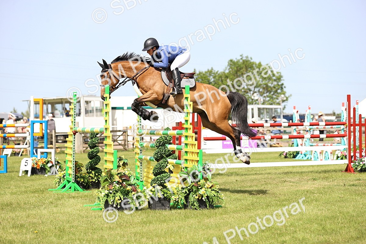 SBM_03034 - Class 201 - British Horse Feedds Speedi Beet HOYS Grade C