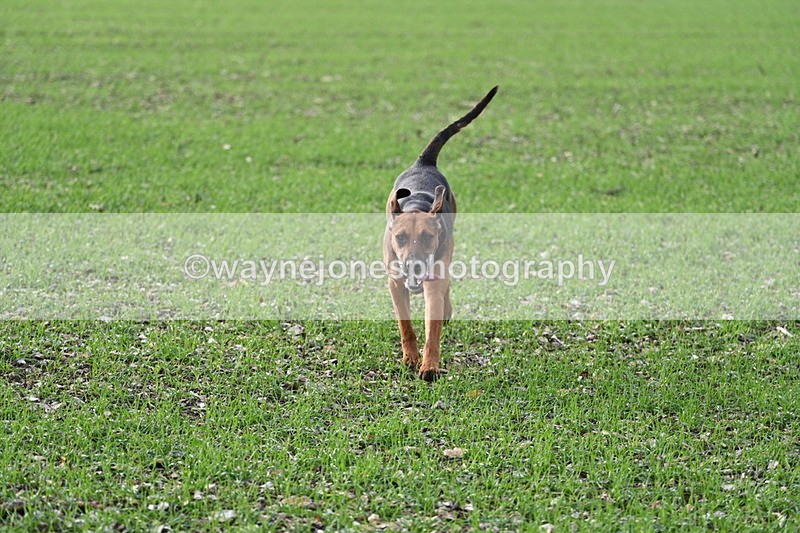 WJ7_3526 - Camera A