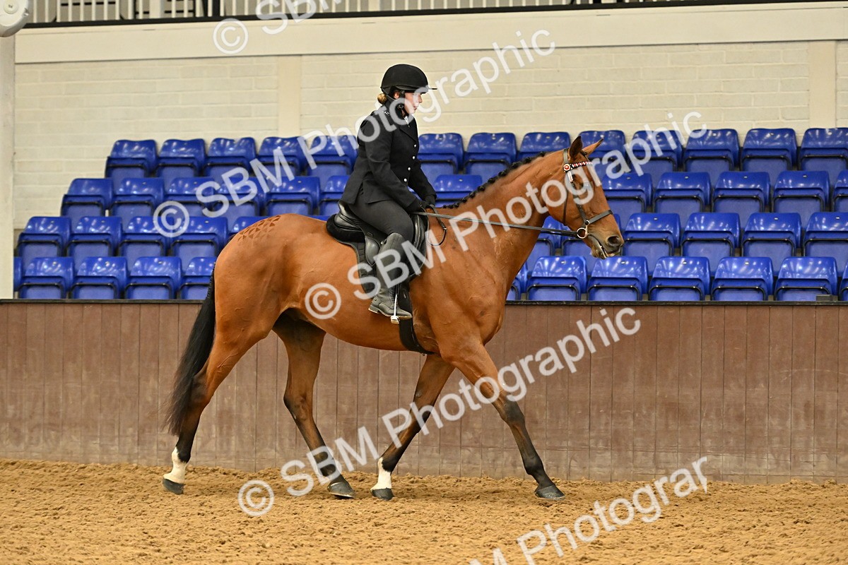 SBM_002001 - Class 24 - BSHA Ridden Racehorse to Show Horse